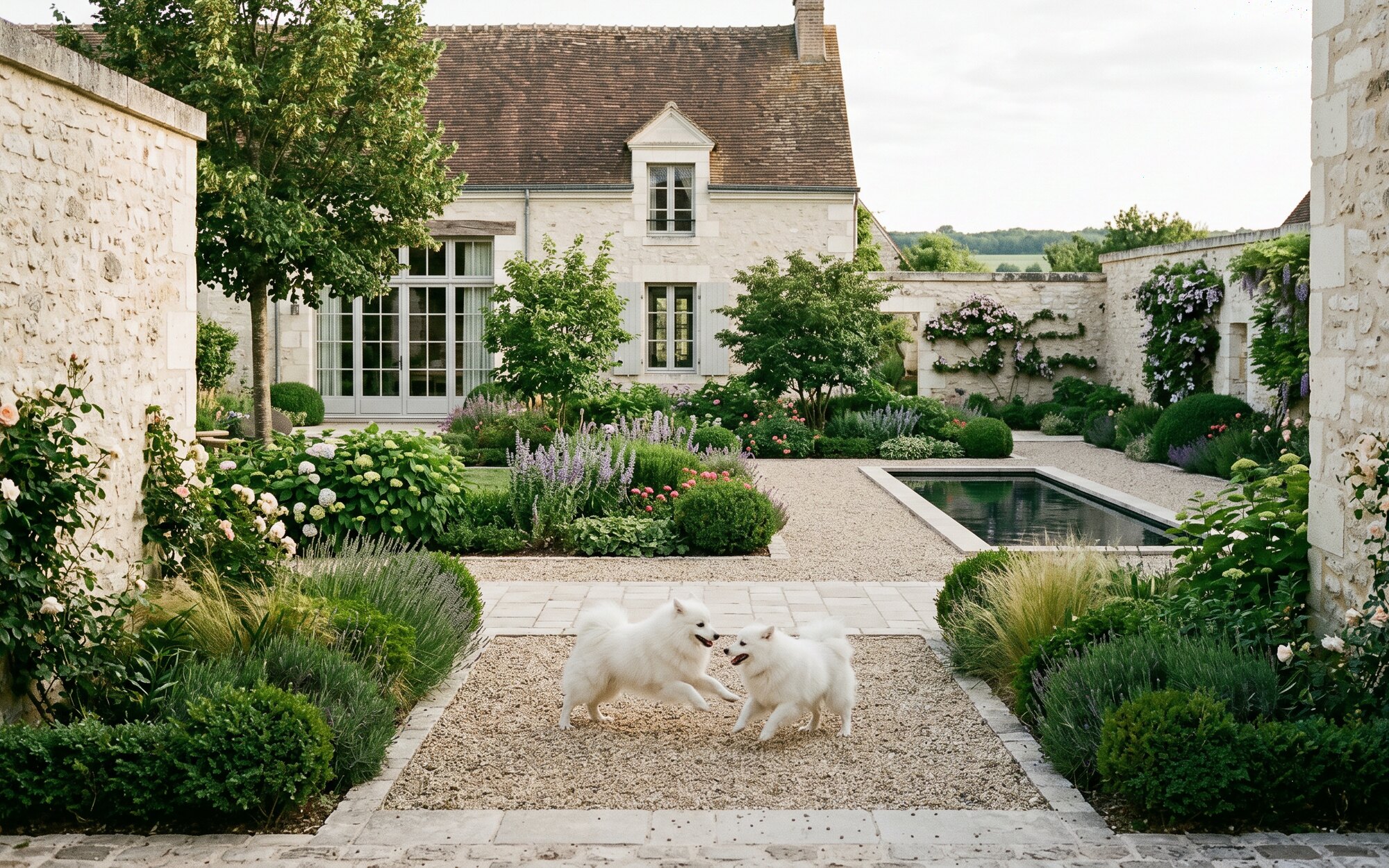 Jardin de pierre en Touraine où évoluent les Spitz de Maison Nivose